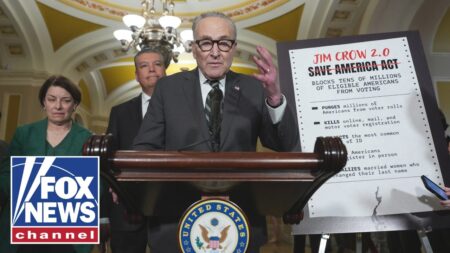 ‘NOTHING more important than election integrity’: GOP congressman