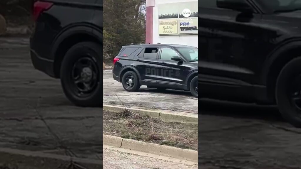 Woman wiggles out of police custody through open car window