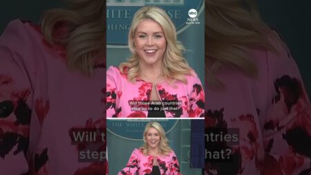 Trump ‘would be quite interested’ in calling Middle East allies to pay for war, Leavitt says