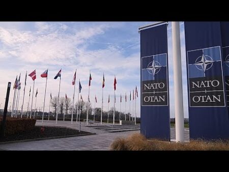 Trump considers pulling US out of ‘paper tiger’ NATO