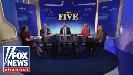 ‘The Five’ on ‘cringe’ social media video…