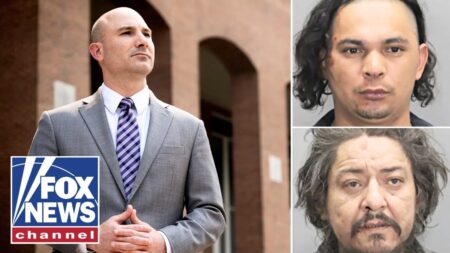 Liberal prosecutor under fire for ‘sweetheart plea deals’ for migrant murder suspects