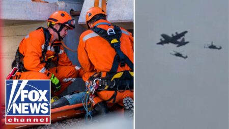 ‘BE CAREFUL’: Ex-fighter pilot warns teams searching for downed jet in Iran