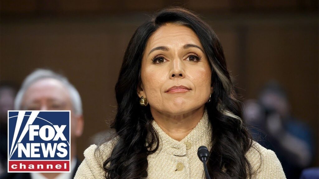 White House denies rumors Tulsi Gabbard could be removed