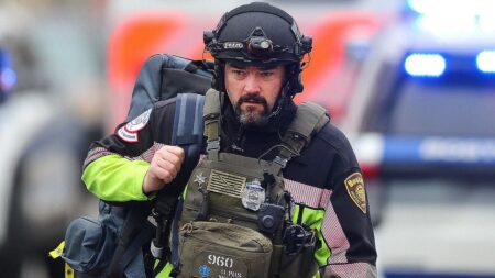 City’s BLM-era mental health push puts cops in danger after sword-wielding suspect stabs officer: police