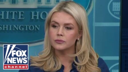 ‘COMPLETELY UNACCEPTABLE’: Karoline Leavitt reiterates demand for Strait of Hormuz to be open