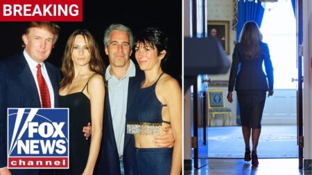 ‘CAME OUT OF LEFT FIELD’: Melania Trump makes rare statement on Epstein
