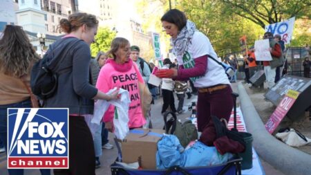 SOWING DIVISION: Pro-communist groups mobilize protests across the US