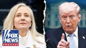 We shouldn’t be losing any more Americans because of this, former DHS official says