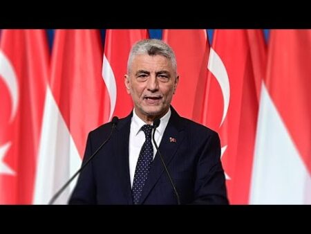 ‘NATO not obliged to reopen the Strait,’ Turkey’s trade minister tells Euronews ‘NATO not obliged to reopen the Strait,’ Turkey’s trade minister tells Euronews