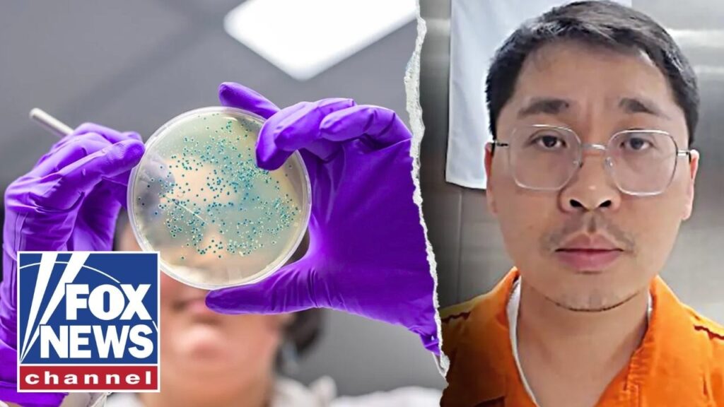 Bio pathogen marked as WOMEN’S UNDERWEAR smuggled into US