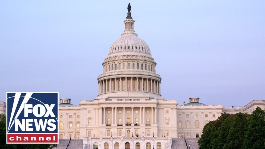 Americans’ rights ‘deserve protection’ if contacted by foreign actors: GOP lawmaker