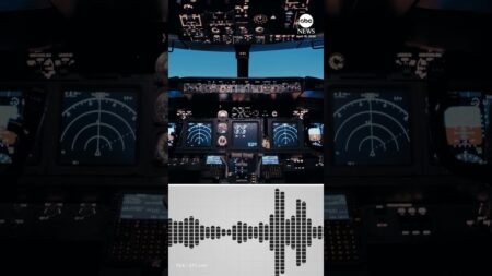 “Meow, meow!” Pilots heard making cat sounds over an air traffic control frequency