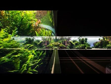 An aquatic adventure ends: Lisbon’s Oceanarium to close ‘Forests Underwater’ exhibition