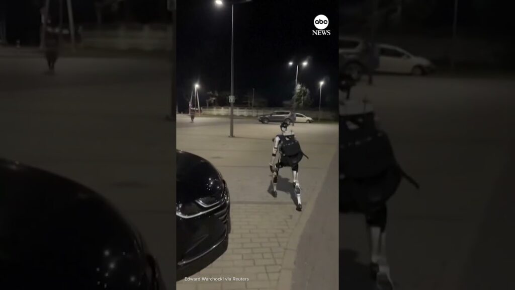 Humanoid robot chasing wild boars in Poland goes viral