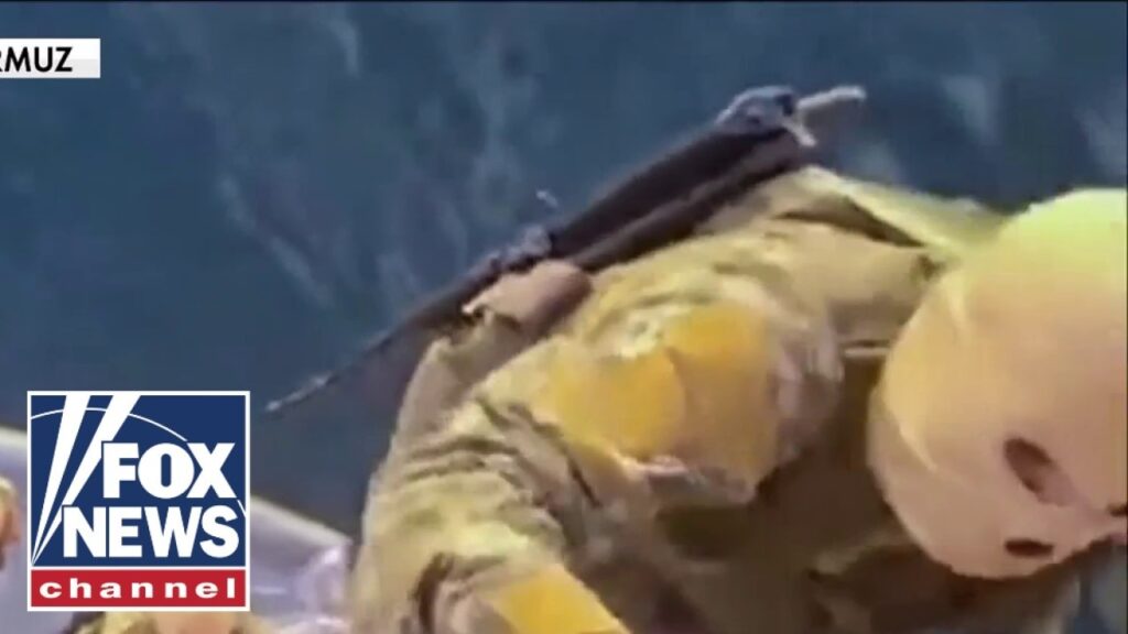 WATCH: Iranian forces SEIZE ship in Strait of Hormuz