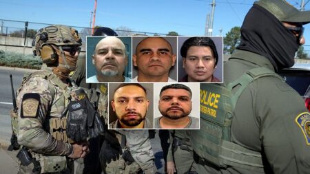 ICE nabs illegal aliens convicted of child sex crimes and meth trafficking in nationwide enforcement sweep