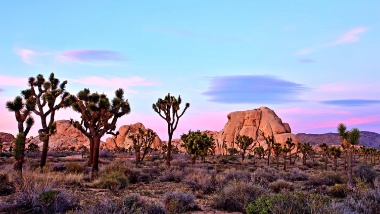 Hiker stumbles on human skull in iconic desert as mystery grows and detectives open homicide probe