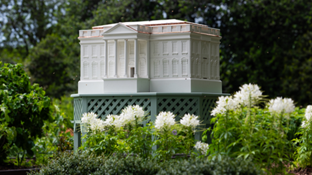 Melania Trump unveils a White House replica beehive buzzing with new colonies on the South Lawn
