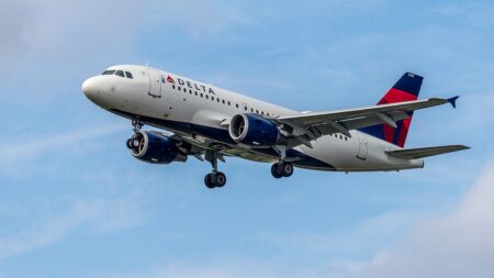 Delta flight forced to divert after passenger goes into labor and delivers baby midair