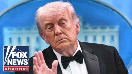 ‘STUNNING’: Left CONTINUES anti-Trump rhetoric