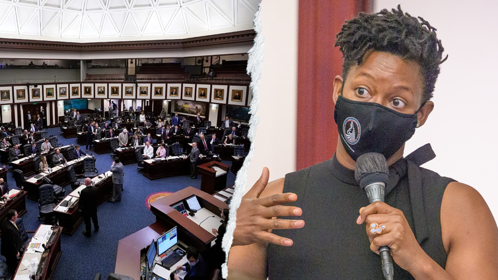 WATCH: Chaos erupts as Florida Dem in pink jumpsuit grabs bullhorn mid-vote: ‘It’s illegal!’