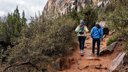 2 mystery deaths at Zion National Park prompt urgent questions about visitor safety