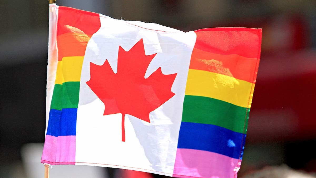 A spectator holds a Pride flag featuring a Canadian maple leaf while standing along a crowded street.