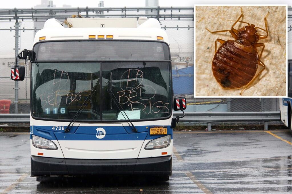 NYS bill would force MTA to tell riders about bed bug infestations NYS bill would force MTA to tell riders about bed bug infestations