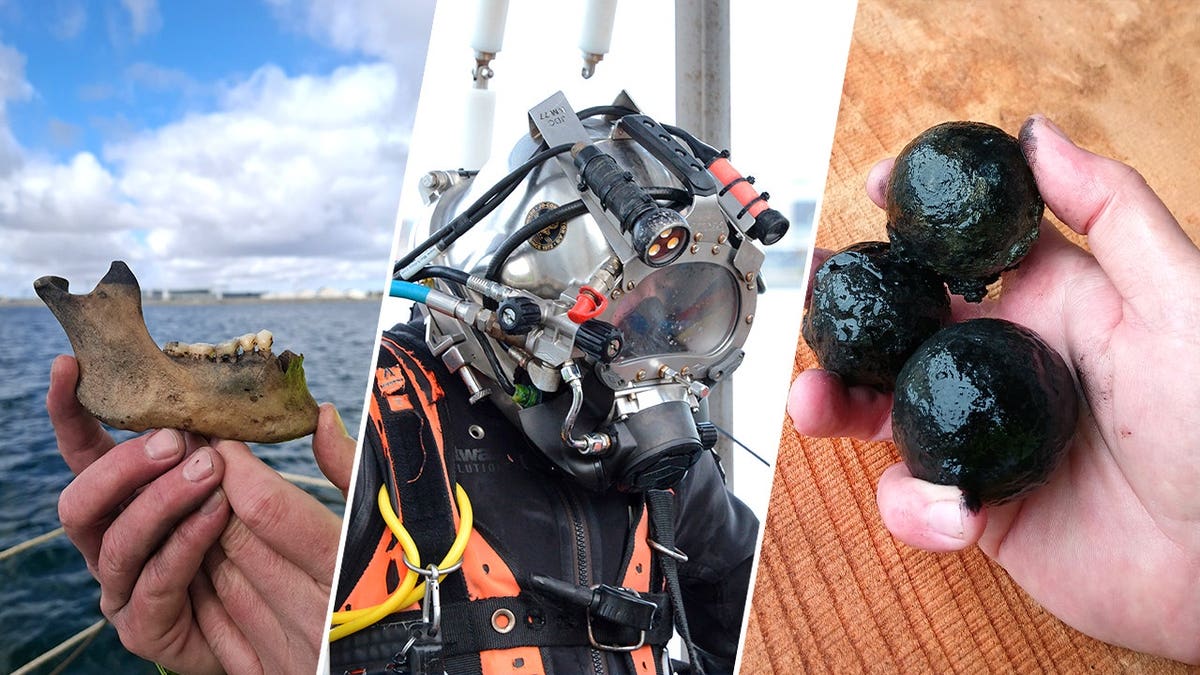 Archaeologist holding jaw bone and cannonballs