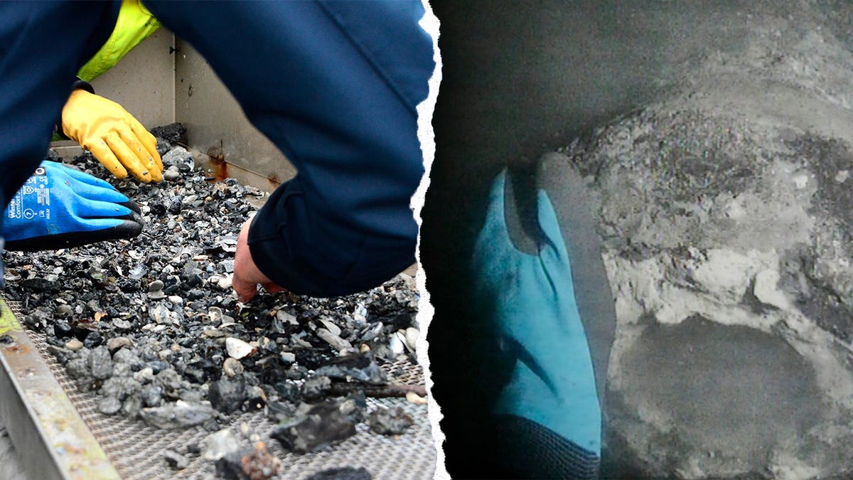 Archaeologists analyzing stone fragments and analyzing underwater wreck