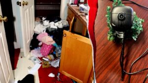 Judge describes illegal immigrant burglary crew’s cross country operation as ‘Ocean’s Eleven-style conduct’