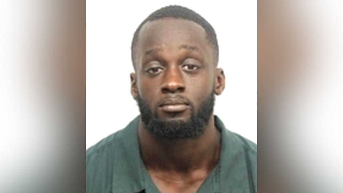 Olaolukitan Adon Abel mugshot