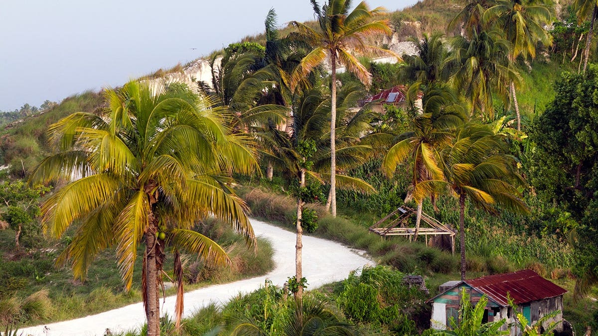 View of road in Haiti with small houses and palm trees