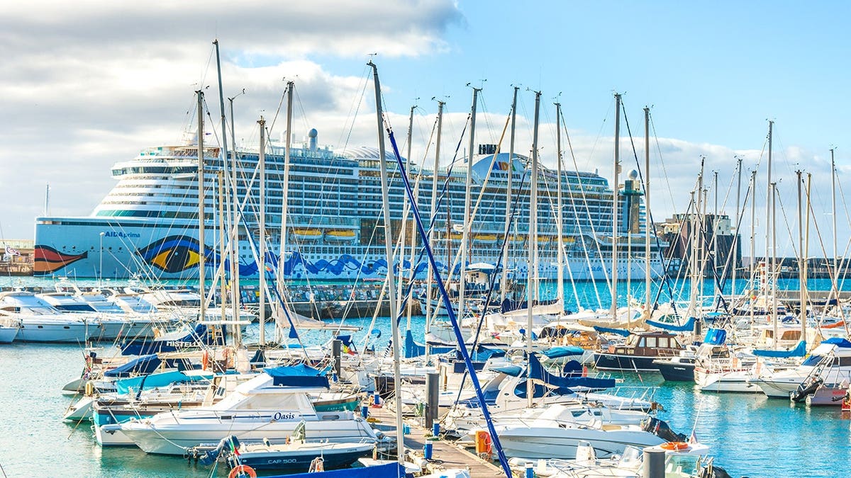 Cruise ships docked in Funchal, Madeira