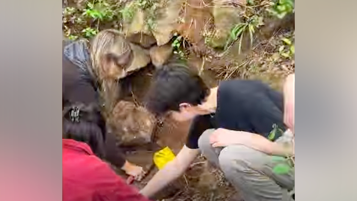 Investigators search creek bank where human skull was discovered in South Carolina