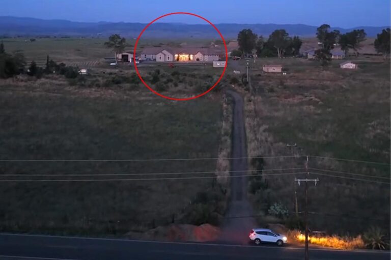 California homeowners’ ingenious hack beats Google Maps every time as drone footage goes viral