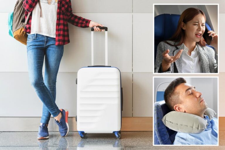 Americans reveal their top 10 pet peeves when traveling: survey