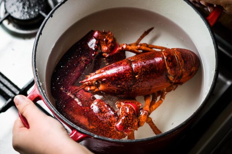 Lobsters do feel pain, research shows — scientists are calling for a legal ban on boiling them