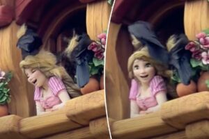 Disney park visitors traumatized as crows attack Rapunzel in distressing video: ‘Definitely tangled now’