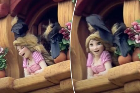 Disney park visitors traumatized as crows attack Rapunzel in distressing video: ‘Definitely tangled now’