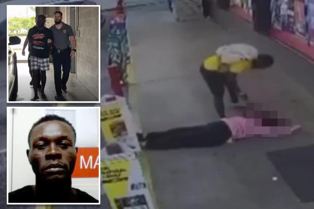 Trump blames Biden for allowing ‘animal’ Haitian migrant accused of  bludgeoning Florida mother to death into US