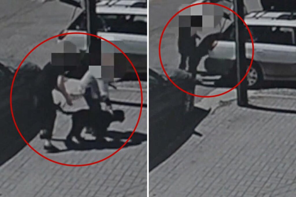 Heartless dognappers caught on camera stealing Labradoodles Coco Chanel and Taco from SoCal car