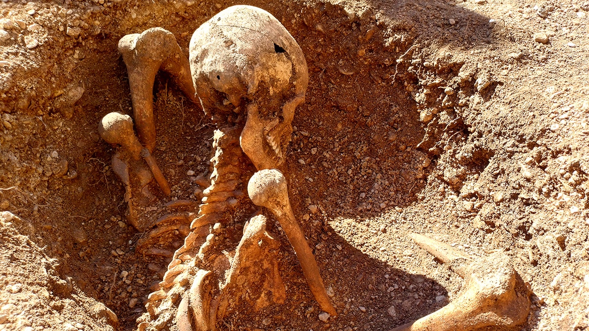 Skeleton in seated position on school site