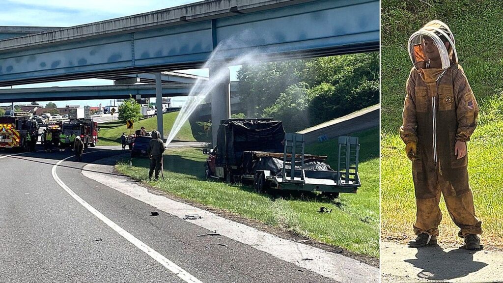 One million bees swarm highway after crash shuts down interstate ramp for hours