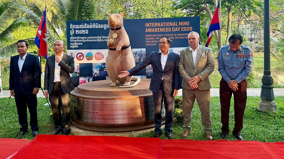 Statue of Magawa the minesweeping rat unveiled in Siem Reap Cambodia