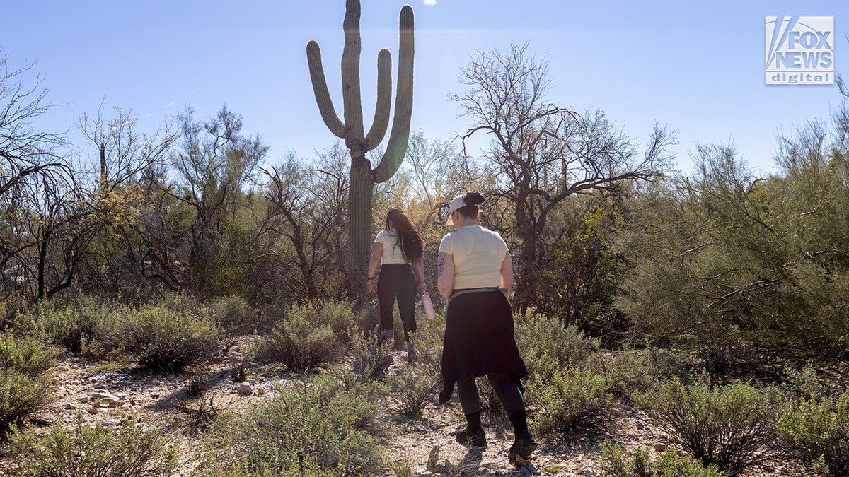 People searching for clues in the Nancy Guthrie case in Tucson, Arizona