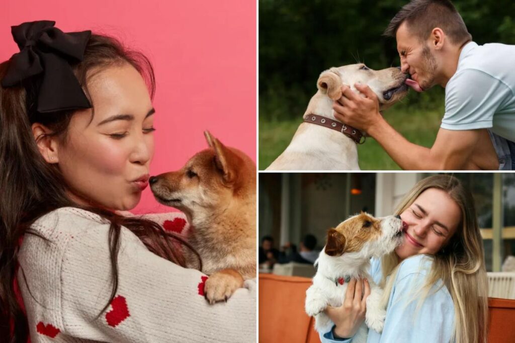 Dream job for dog lovers? Earn K per hour to kiss canines and sniff their breath Dream job for dog lovers? Earn K per hour to kiss canines and sniff their breath