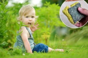 We’re pica specialists — the weirdest non-food items we’ve seen people eat