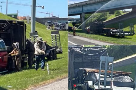 1 million bees swarm highway after crash shuts down interstate ramp for hours